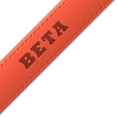 Beta ribbon